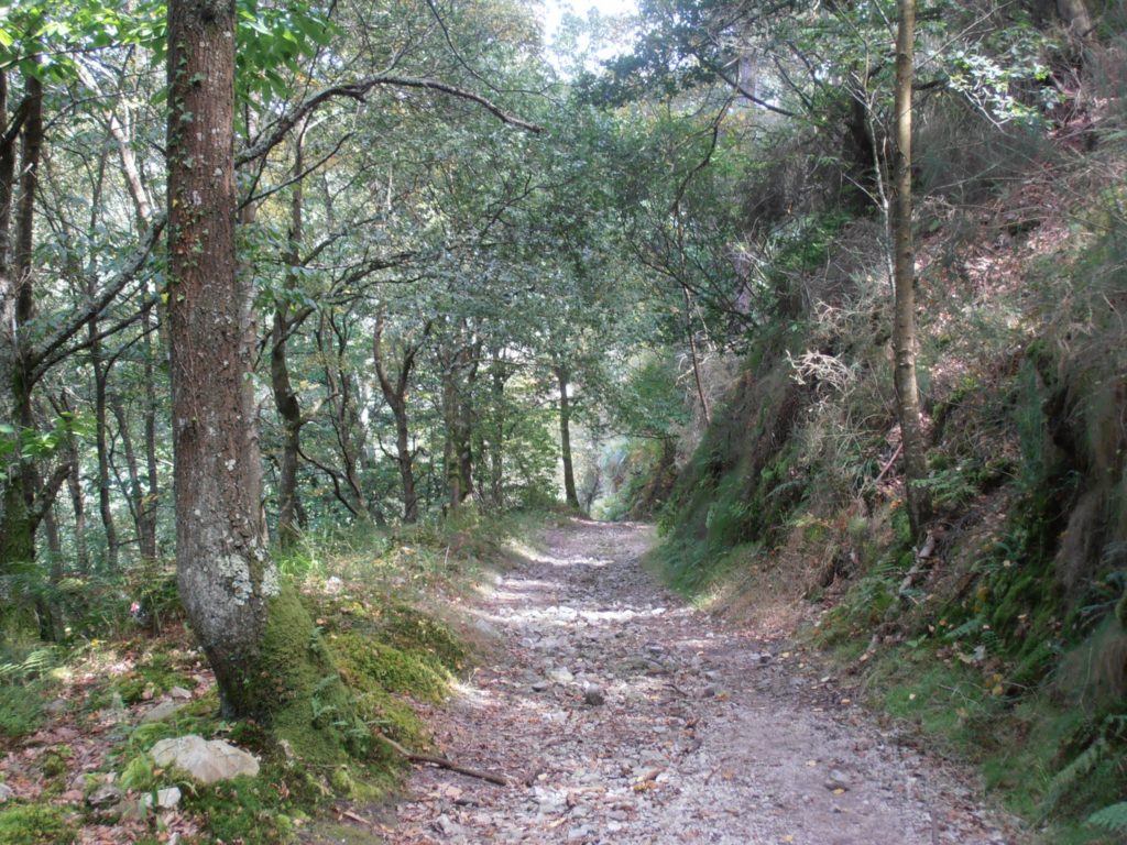 Rutas jacobeas - Camino del Norte - TaxiCamino